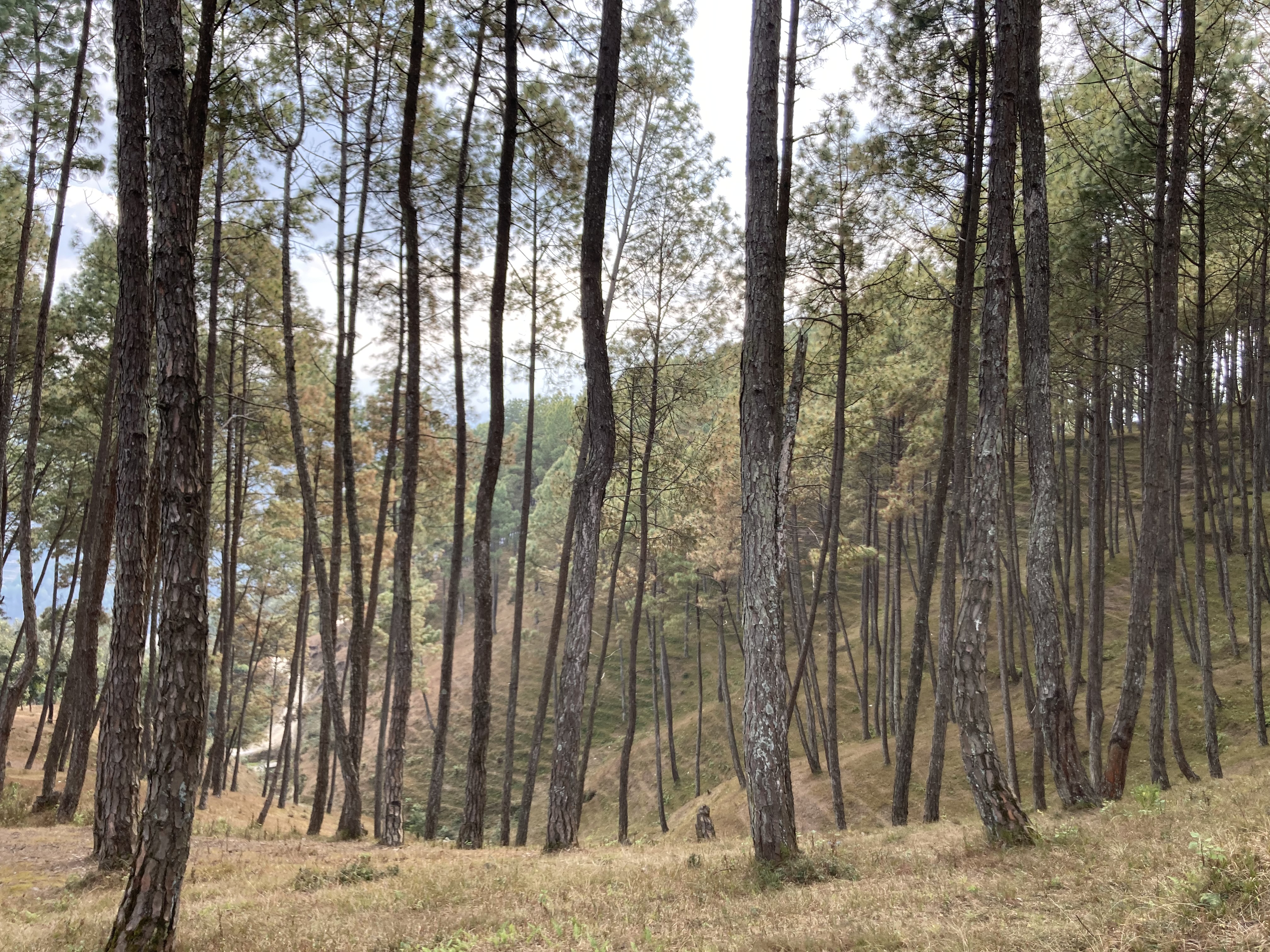 Nepal – MATTHEW OVERSTREET